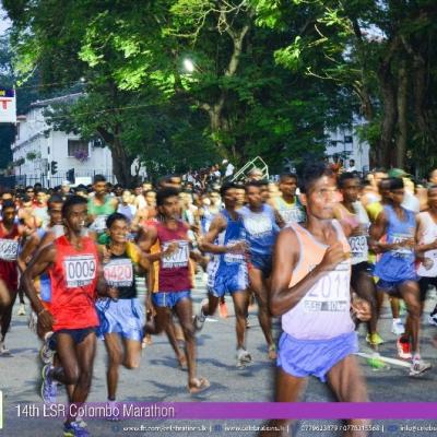 Lsr Marathon 2014 26
